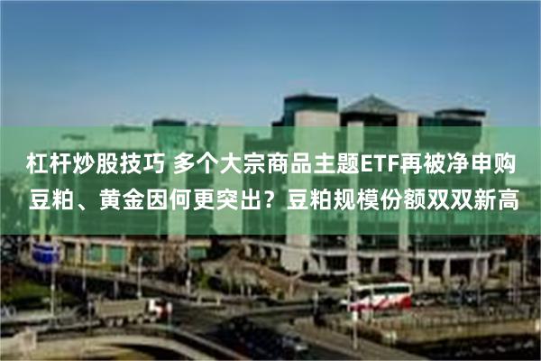 杠杆炒股技巧 多个大宗商品主题ETF再被净申购 豆粕、黄金因何更突出？豆粕规模份额双双新高