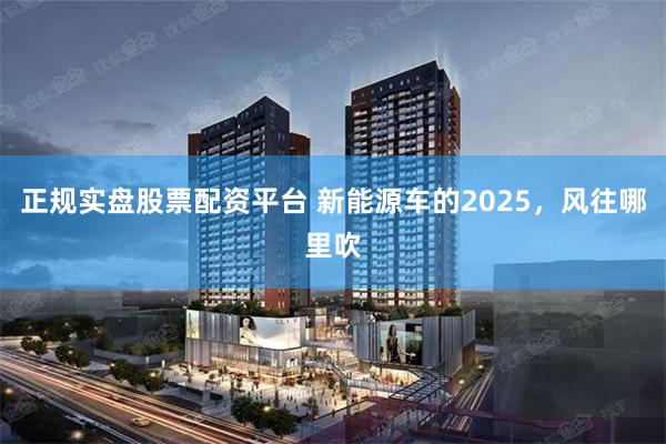 正规实盘股票配资平台 新能源车的2025，风往哪里吹