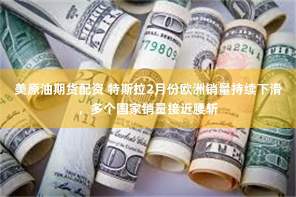 美原油期货配资 特斯拉2月份欧洲销量持续下滑，多个国家销量接近腰斩